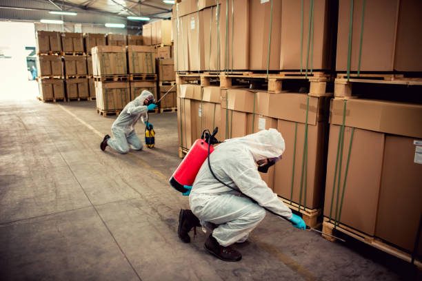 Pest Control Cost in Odem, TX