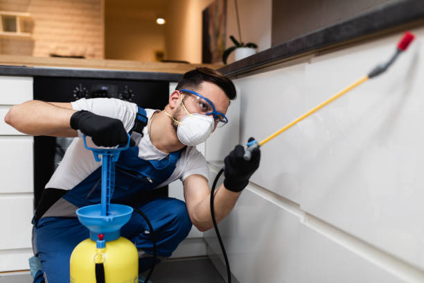 Best Best Pest Control Companies  in Odem, TX