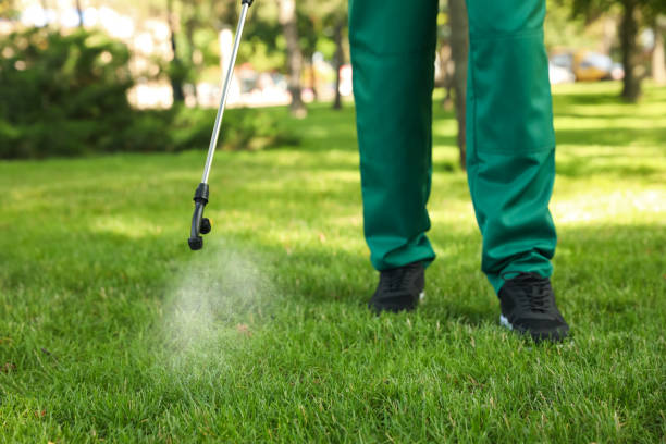 Best Affordable Pest Control Services  in Odem, TX