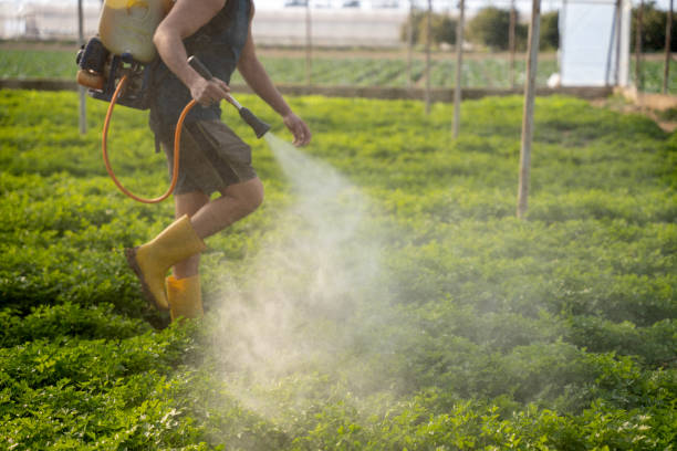 Best Affordable Exterminators  in Odem, TX