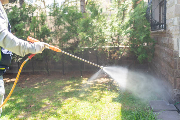 Best Commercial Pest Control Services  in Odem, TX