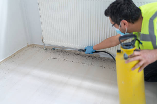 Best Residential Pest Control  in Odem, TX